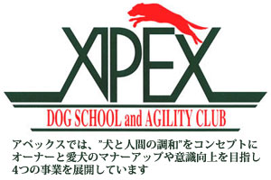 アペックスグループでは、ドッグスクール（福岡県糟屋郡）・アジリティ競技の訓練・アジリティドッグの訓練、仔犬・ドッググッズの販売を行っています。